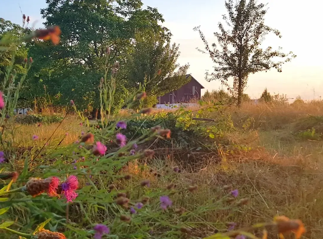 Ansicht des Wandelgartens in Heidelberg