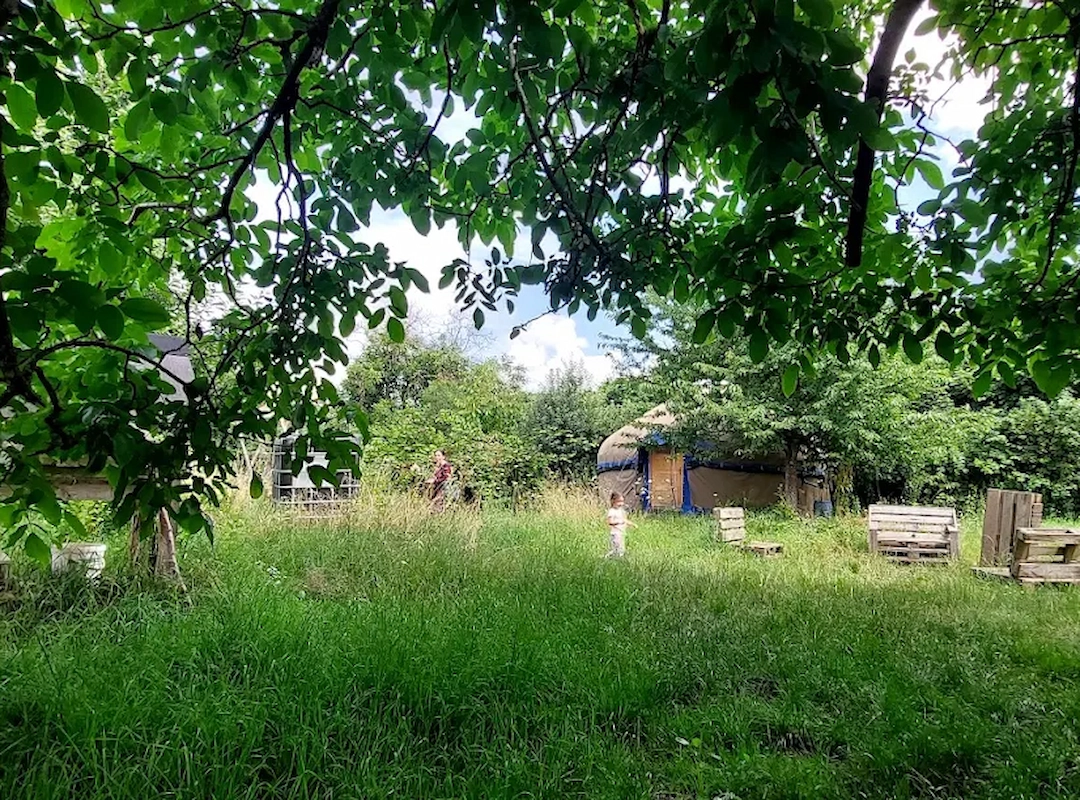 Wiese im Wandelgarten