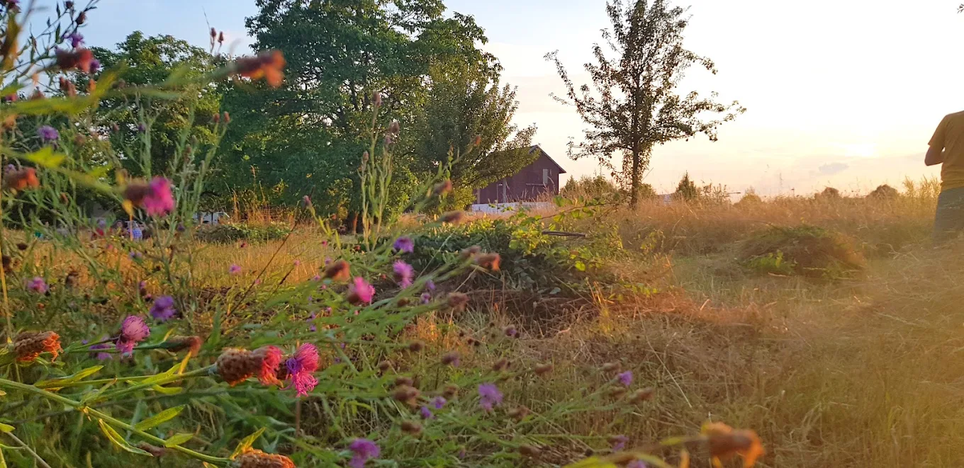 Wandelgarten Heidelberg